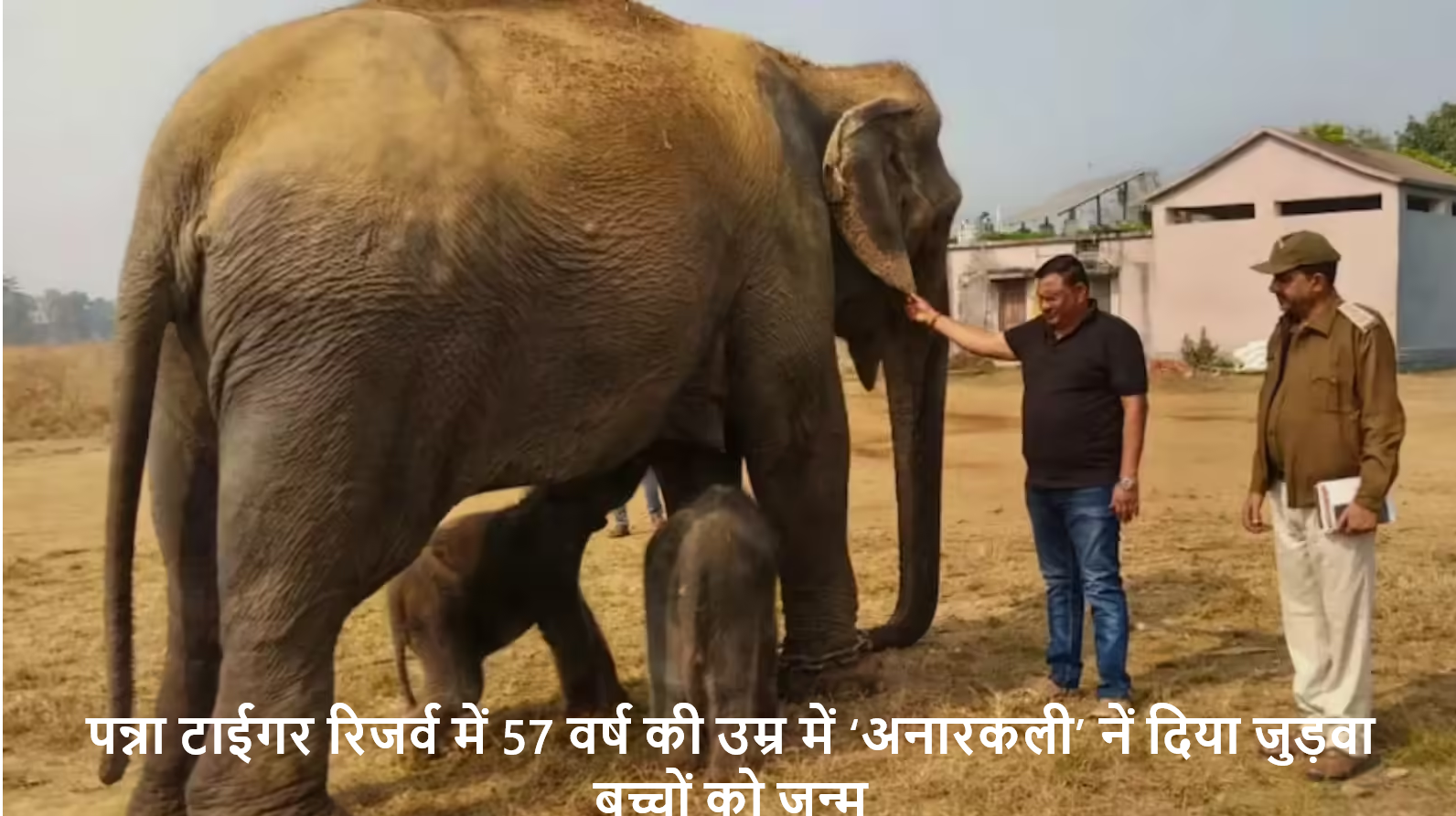 MPअनारकली’ नें दिया जुड़वा बच्चों को जन्म