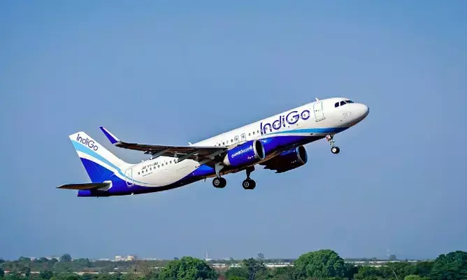 IndiGo
