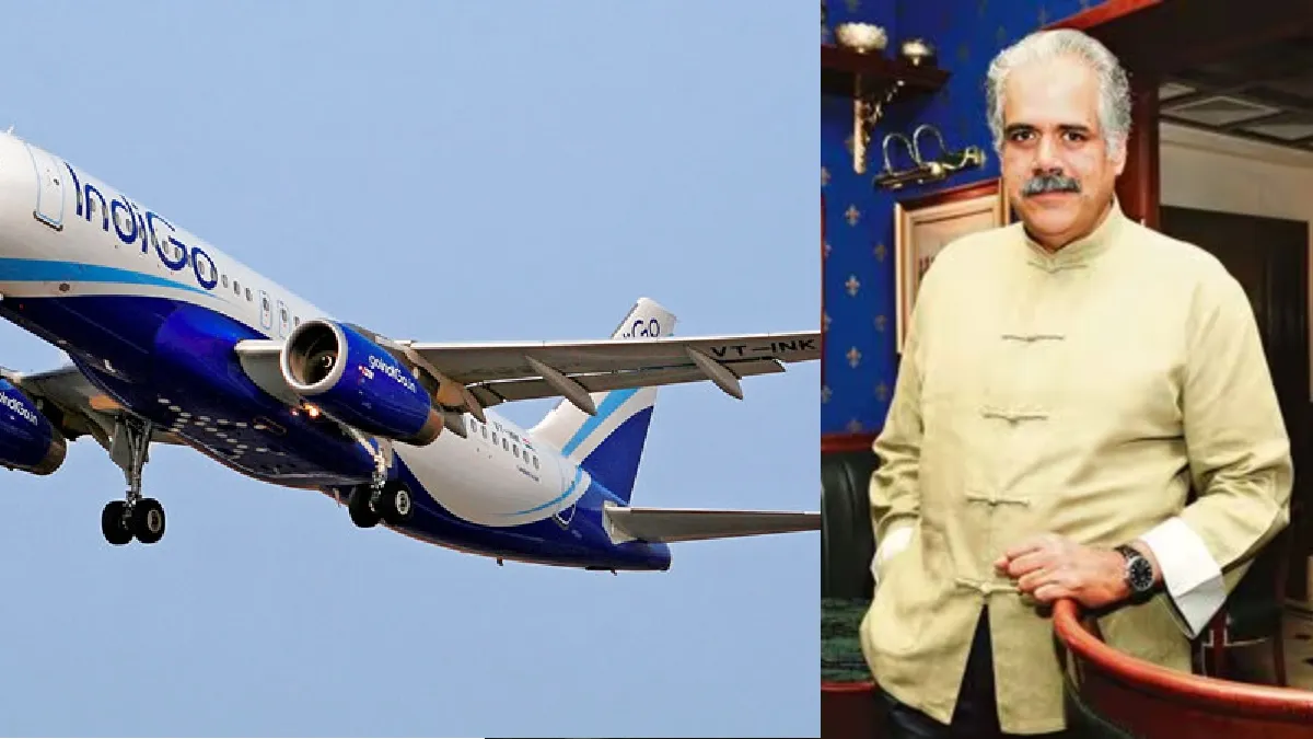 Indigo owner