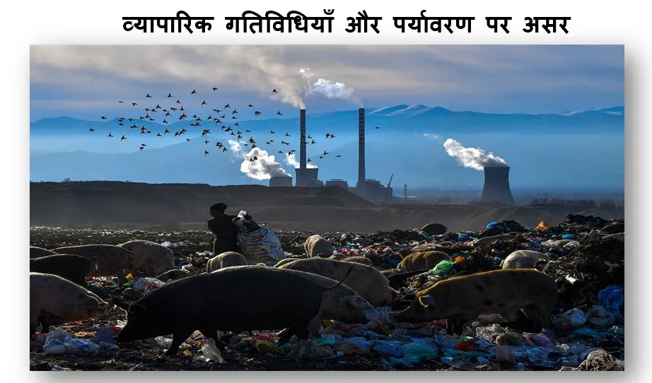 व्यापारिक गतिविधियाँ और पर्यावरण पर असर