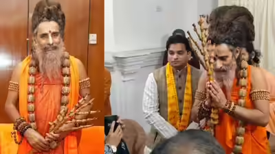Sanatan University