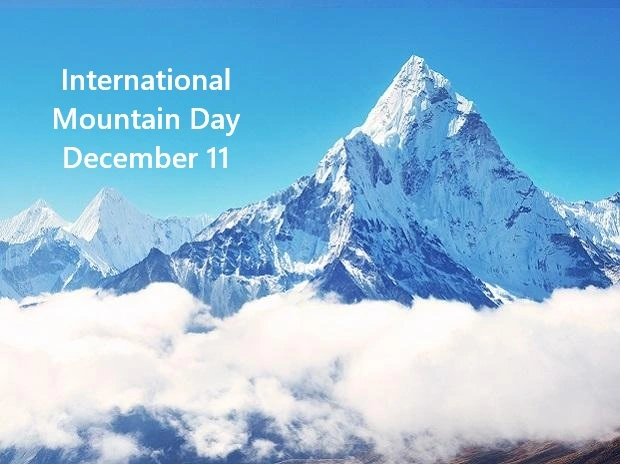 international mountain day