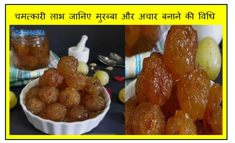 सीजन का यह आंवला देता है चमत्कारी लाभ जानिए मुरब्बा और अचार बनाने की विधि