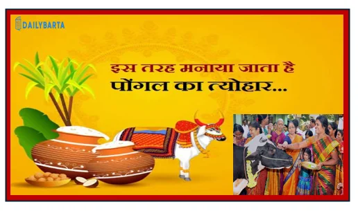 कैसे मनाया जाता है पोंगल का त्योहार- जानिए क्या होता है इसमें खास 