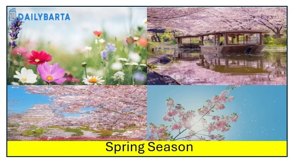 ‘Spring Season’ नई शुरुआत का सबसे अच्छा समय क्यों?