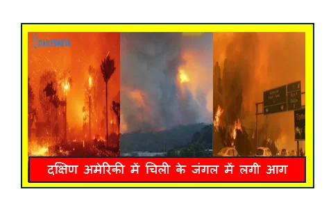 दक्षिण अमेरिकी में चिली के जंगल में लगी आग 19 लोगों की मौत 