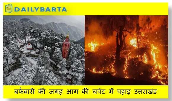 बर्फबारी की जगह आग की चपेट में पहाड़ उत्तराखंड से हिमाचल और कश्मीर तक धधकते जंगल दशकों पुराना मौसम चक्र टूटा