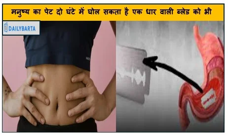 मनुष्य का पेट दो घंटे में घोल सकता है एक धार वाली ब्लेड को भी
