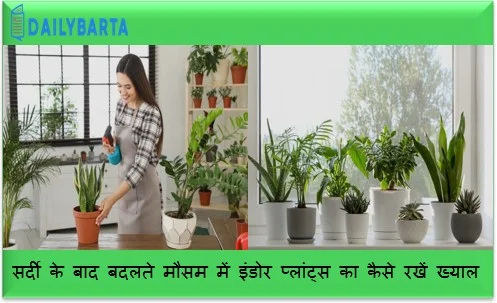 सर्दी के बाद बदलते मौसम में इंडोर प्लांट्स का कैसे रखें ख्याल