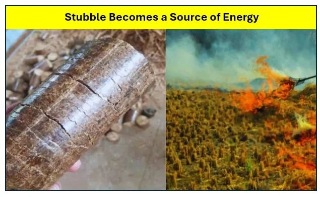 Stubble Becomes a Source of Energy - जानिये ‘पराली इकोनॉमिक्स’ का पूरा गणितअब पराली पर बदल रही सोच