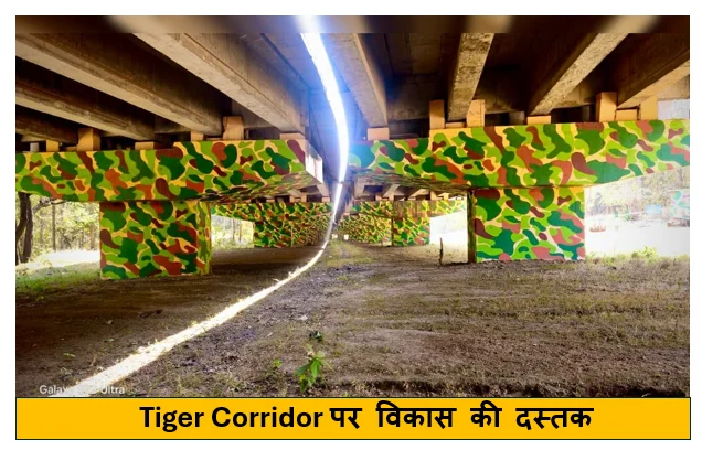 Tiger Corridor पर विकास की दस्तक NH-46 के बरेठा घाट सेक्शन को मिली हरी झंडी स्टे हटनें का है अब इंतजार 