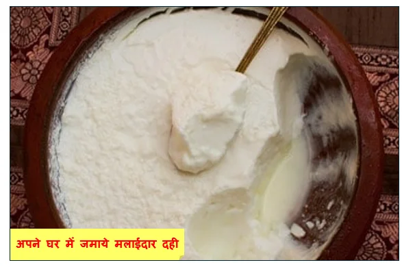 अपने घर में जमाये मलाईदार दही जानिए 15 मिनट का यह सीक्रेट फॉर्मूला गर्मी में मिलेगी राहत 