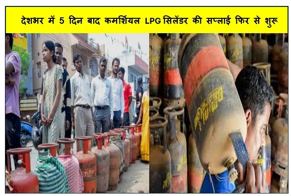 देशभर में 5 दिन बाद कमर्शियल LPG सिलेंडर की सप्लाई फिर से शुरू सरकार ने कहा घबराकर बुकिंग न करें 