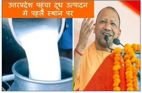उत्तरप्रदेश पहुंचा दूध उत्पादन में पहले स्थान पर