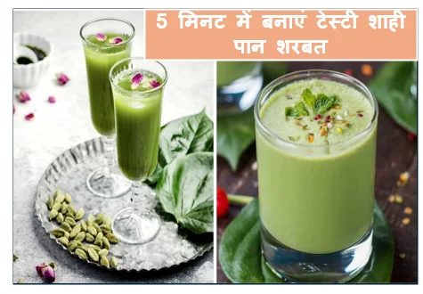 Instant Refreshment-5 मिनट में बनाएं टेस्टी शाही पान शरबत