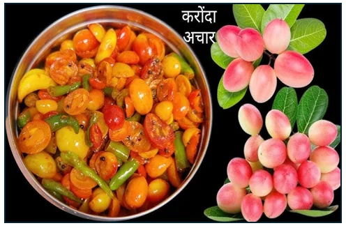 करौंदे का पारंपरिक अचार - स्वाद सेहत और साल भर सुरक्षित रखने की संपूर्ण विधि