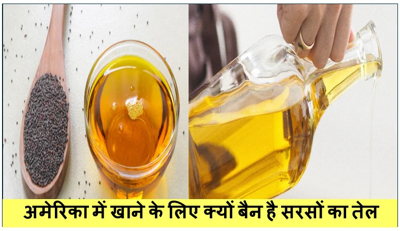 Mustard Oil in US: अमेरिका में खाने के लिए क्यों बैन है सरसों का तेल? जानिए FDA के नियम, वजह और इसके फायदे