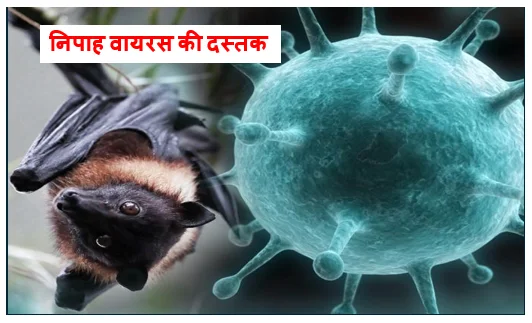 केरलम के कोझिकोड में निपाह वायरस की दस्तक-  हाई अलर्ट पर राज्य 43 वर्षीय मरीज वेंटिलेटर पर
