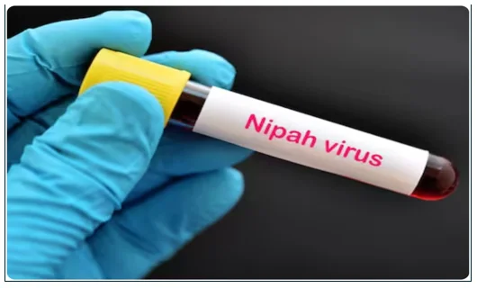 केरलम के कोझिकोड में निपाह वायरस की दस्तक