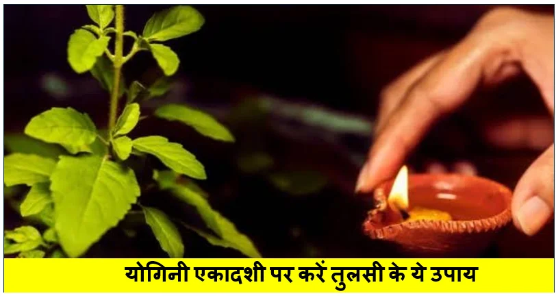 Yogini Ekadashi 2026: योगिनी एकादशी पर करें तुलसी के ये उपाय, जानें पूजा विधि और धार्मिक मान्यताएं